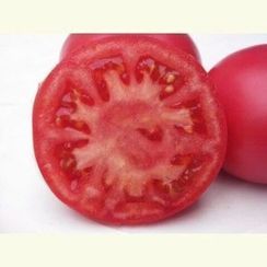 ФЕНДА F1 семена томата (Clause | Alexagro)