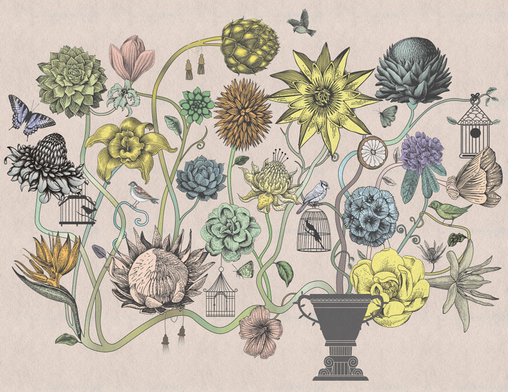 Коллекция Grafika Natura