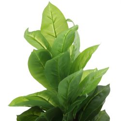 GAEM Цветочная композиция "Фикус", L25 W25 H73 см