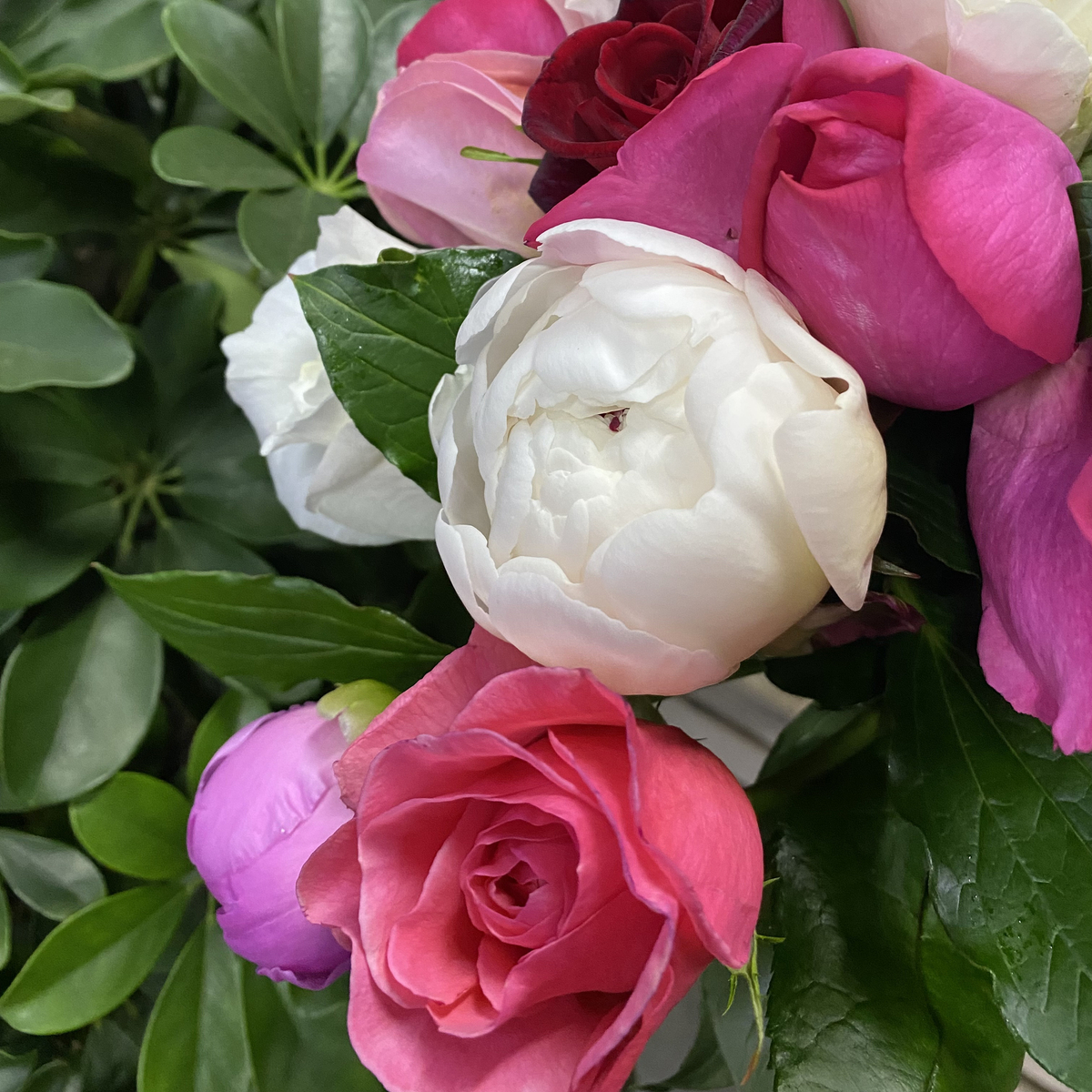 🌸♛ Пионы и розы — букет исключительных ароматных цветов — 8 марта у Феи