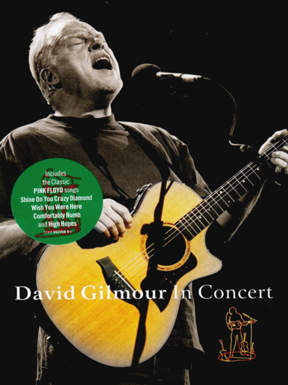 David Gilmour / David Gilmour In Concert (DVD)