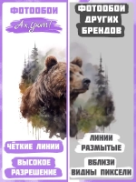 3D Фотообои лес в тумане и медведь