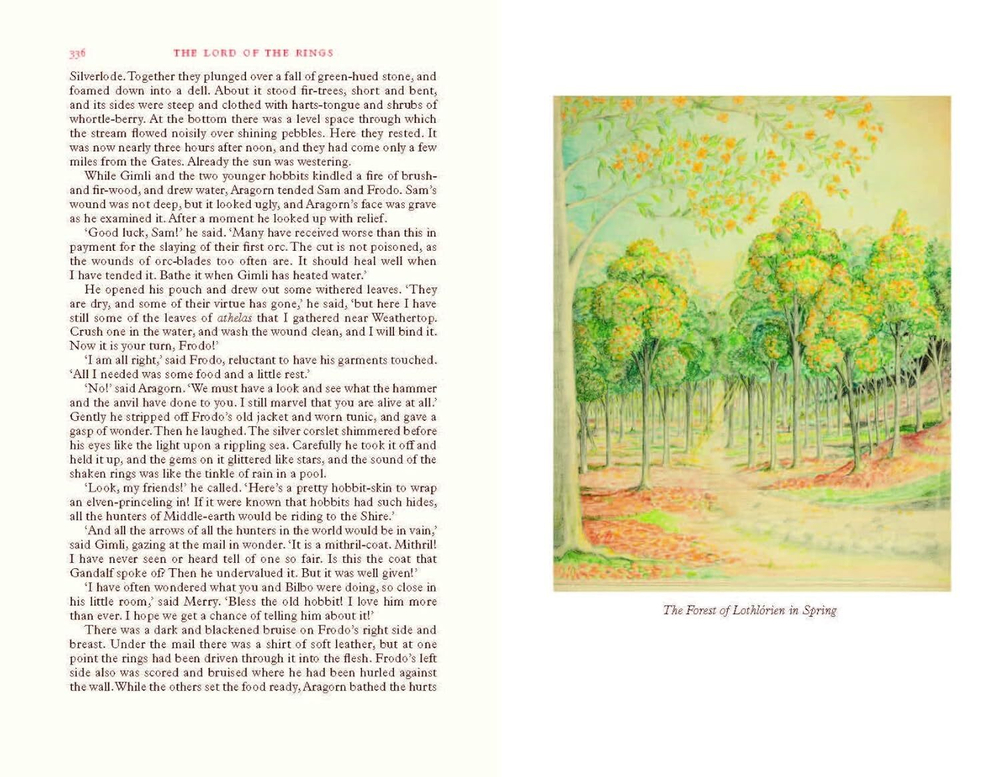 The Lord of the Rings Deluxe Illustrated by the Author