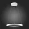 ST603.543.22 Светильник подвесной ST-Luce Белый/Белый LED 1*22W 4000K Подвесные светильники