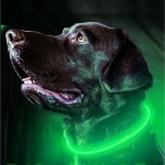 Ошейник неоновый для собак малых пород «Защита Бро», цвет зеленый, зарядка от USB, шнур в комплекте, размер S - d 35см (пакет с подвесом)✦
