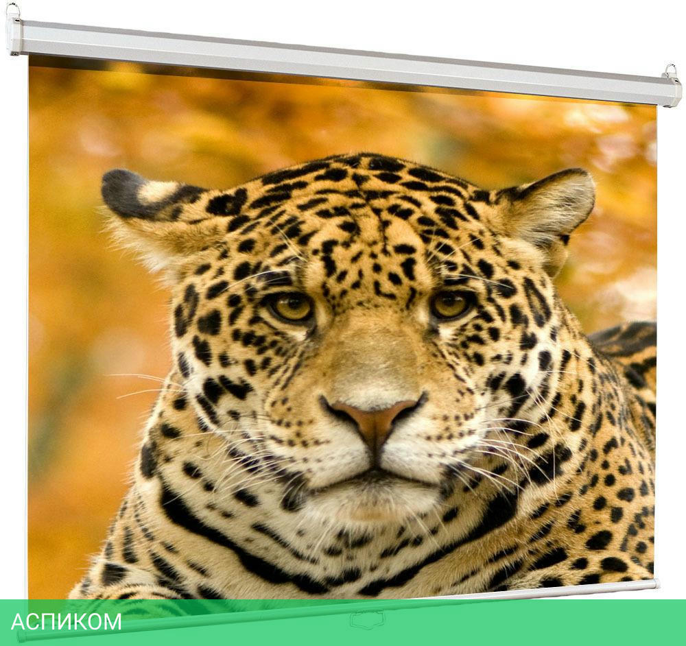 Проекционный экран Lumien Eco Picture (LEP-100101)