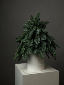 Хвоя в коробке «Ёлка в миниатюре»