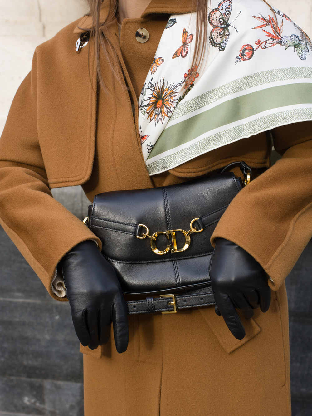 Dior Besace