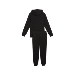Мужской костюм PUMA Hooded Sweat Suit TR