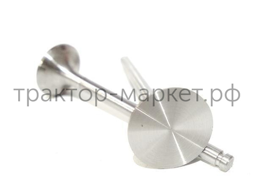 R190 Клапан впускной, выпускной (комплект)