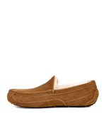 ASCOT MENS chestnut
