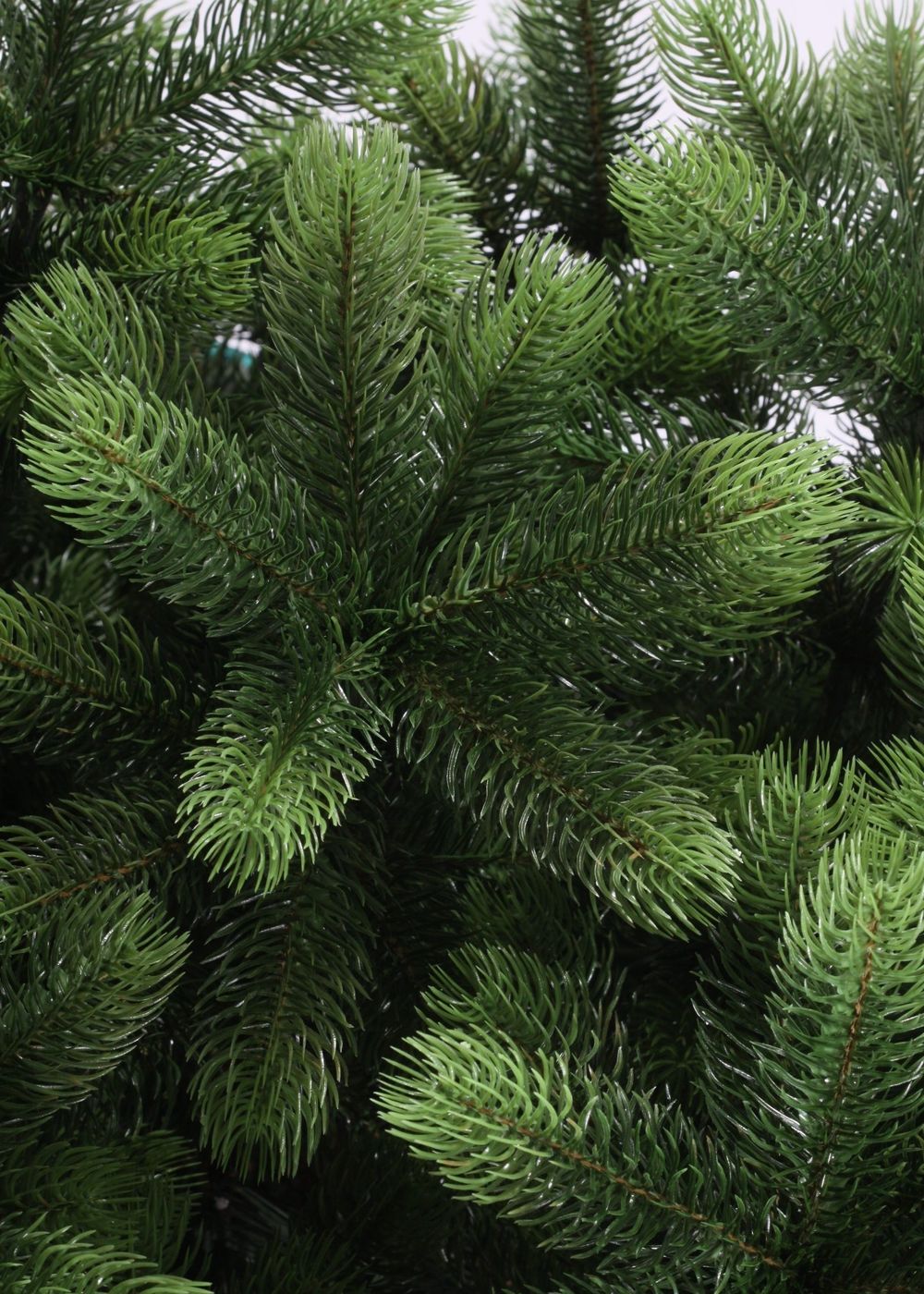 Ствольная елка «Русская императрица» (Литая хвоя) от 3 м до 8 м