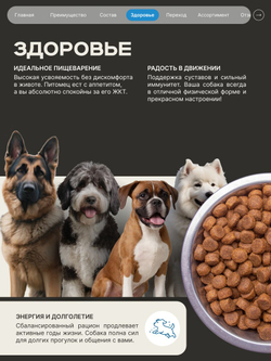 Корм сухой для взрослых собак породы Среднеазиатская овчарка (Алабай), премиум полнорационный комплекс, с лососем, 12 кг, QUATTRO