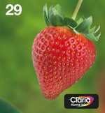 Epson Strawberry C13T29864511 струйный картридж Подлинный Черный, Голубой, Пурпурный, Желтый 1 шт