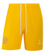 Шорты вратарские JOGEL NATIONAL PerFormDRY GK Shorts, желтый