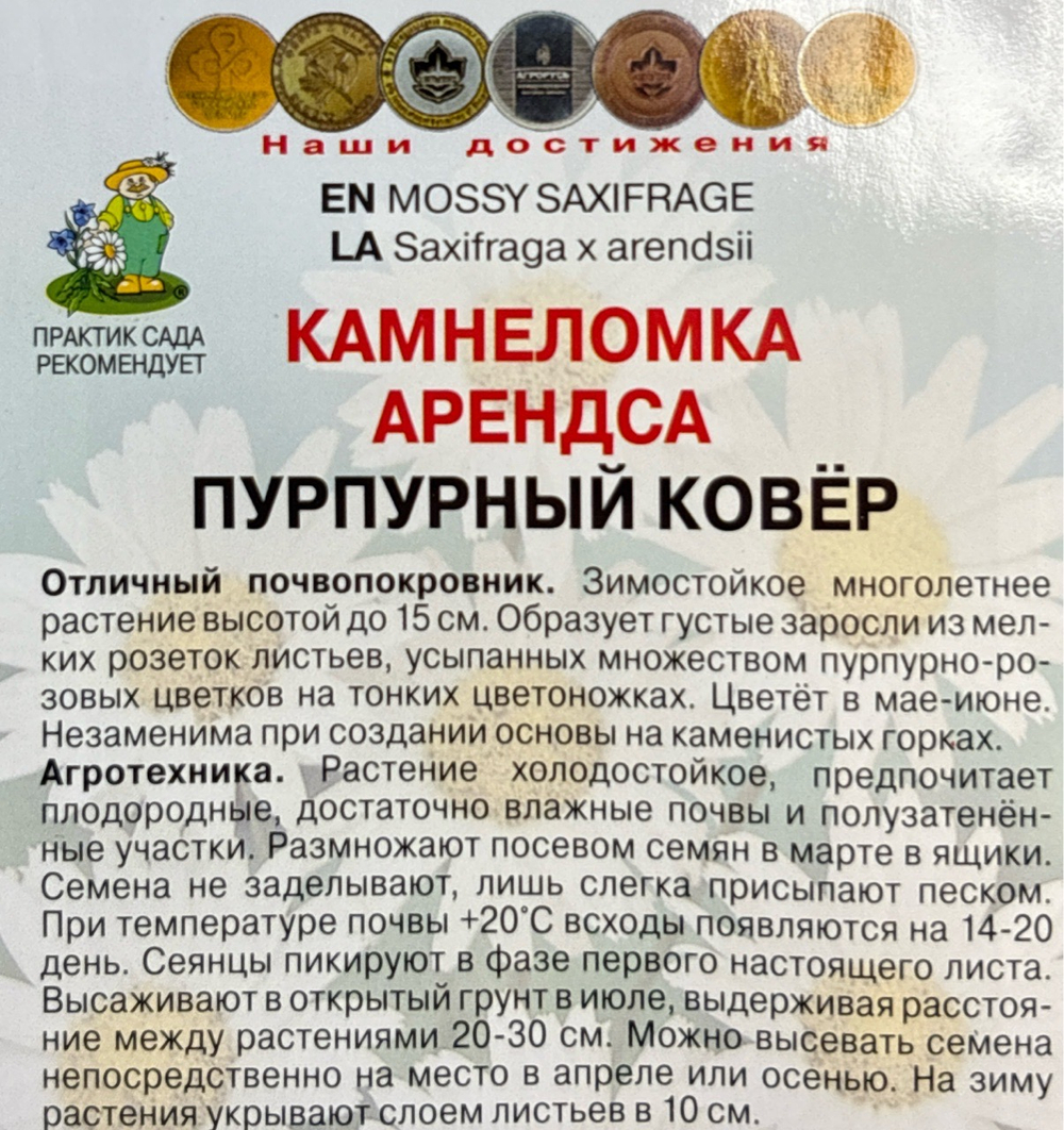 Камнеломка Арендса Пурпурный ковер 0,01 г СМЦ-41
