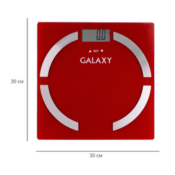 Весы-анализаторы многофункциональные Galaxy GL4851