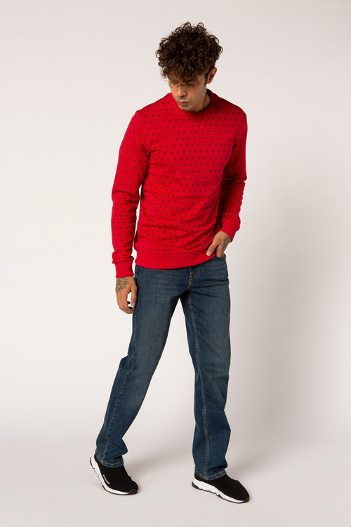 Джинсы VIGOSS 0727Y-05696 Y1V78