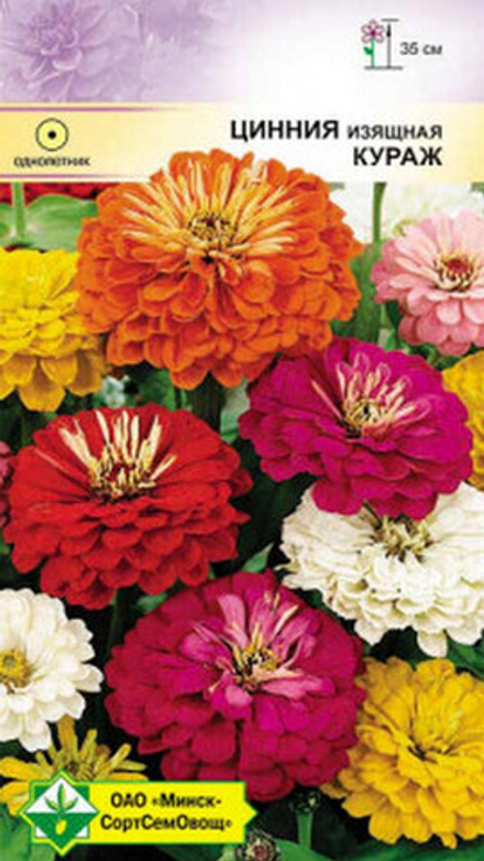 Цинния изящная "Кураж" 0.3г, Германия.
