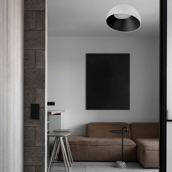 Потолочный светильник Loft it Egg 10197/350 WB