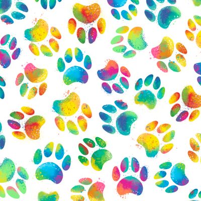 Colorful Paw