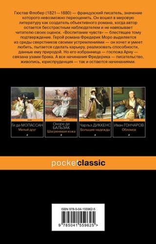 Воспитание чувств. Гюстав Флобер