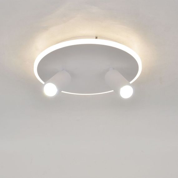 Потолочный светодиодный светильник Escada 20046SMA/02LED WH