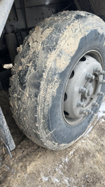 Shacman (Shaanxi) SX* 8x4 Самосвал SX33186V366 (Дизельный, 11,6 л, 423 л.с., МТ)