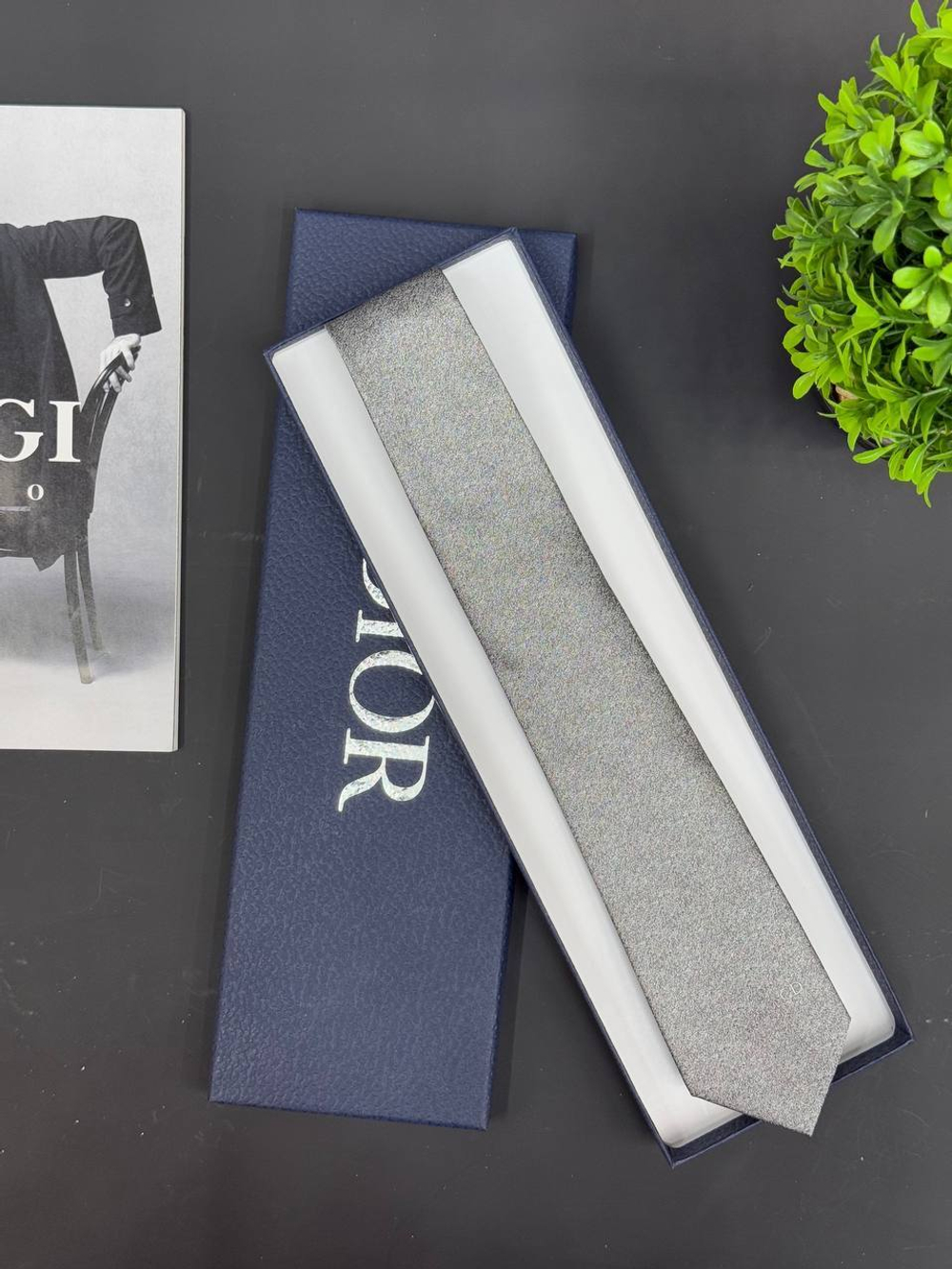 Галстук Christian Dior