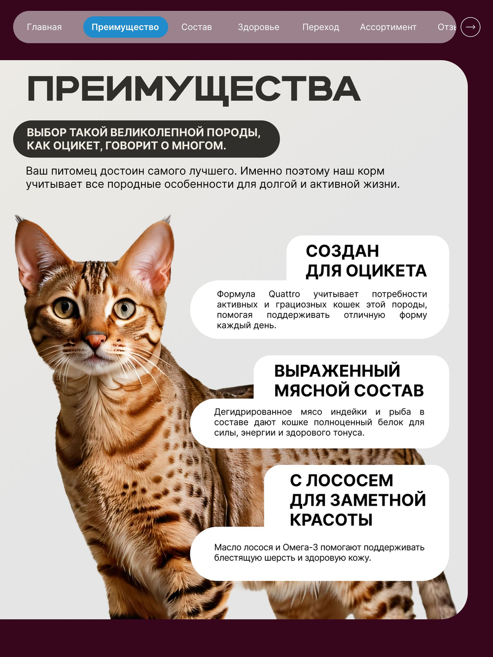 Корм сухой для взрослых кошек породы Оцикет, с лососем, 2 кг, QUATTRO