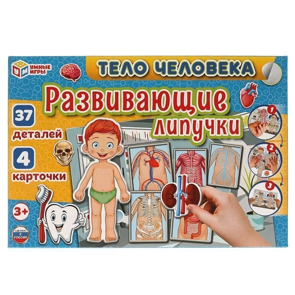 Игра с липучками "Тело человека" (Умные игры)