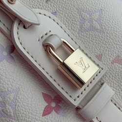 Louis Vuitton All In BB