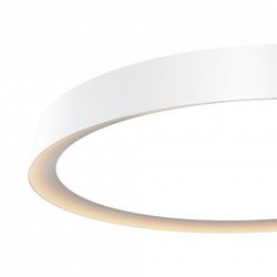 Накладной светильник Maytoni Incognito MOD426CL-L43WK