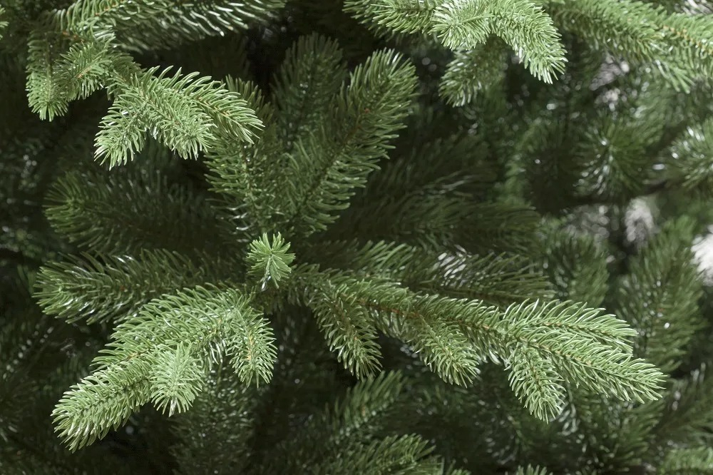 Ель искусственная Казанская Премиум 210 см.