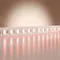 Светодиодная лента Базовая 12В 2835 9,6Вт/м 5м IP 20 Красная 201171 Led Strip 201171