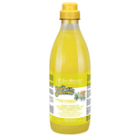 Шампунь Iv San Bernard Fruit of the Groomer Ginger&Elderbery с противовоспалительным эффектом 1000 мл