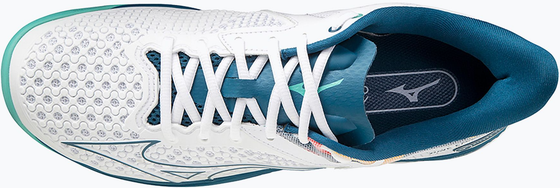 Кроссовки мужские Mizuno Wave Exceed Tour 5 Clay, арт. 61GC2274-30