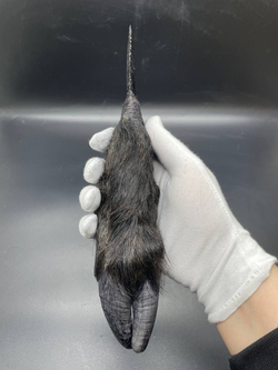 Обсидиановый нож с рукоятью копыта вепря 26 см