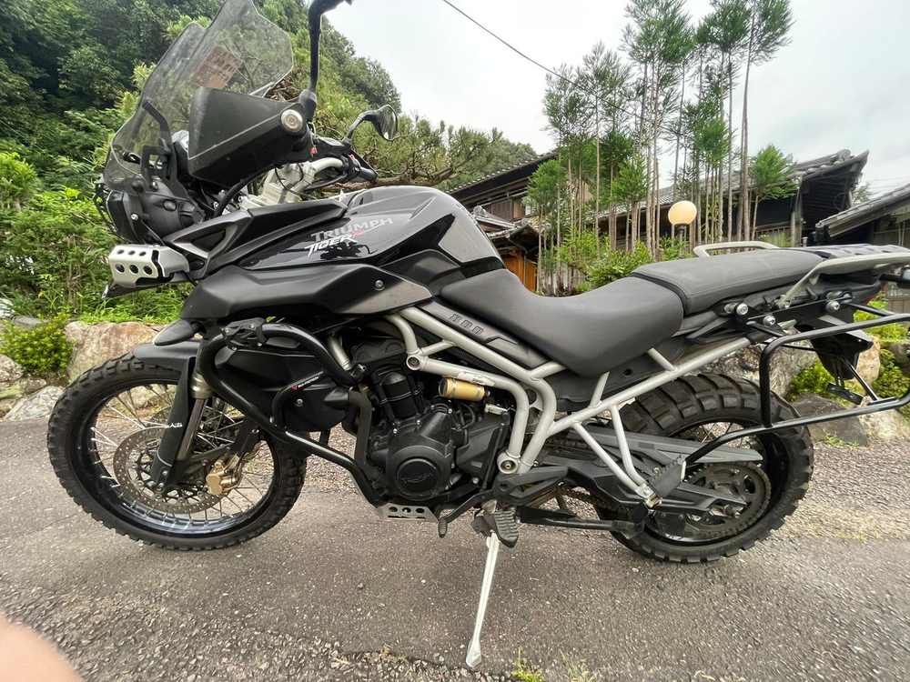 Triumph Tiger 800 XC 038394