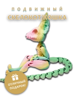 Скелет Кошки