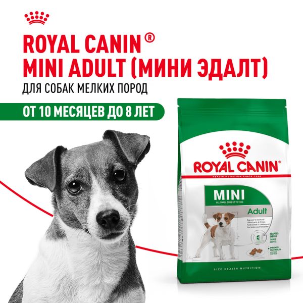 Сухой корм Royal Canin Mini Adult для взрослых собак мелких размеров от 10 месяцев