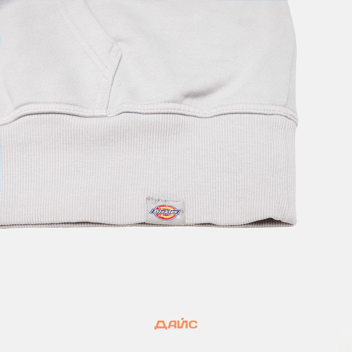 Толстовка мужская Dickies Plentywood Hoodie артикул:DK0A866DD061 - купить в магазине Дайс