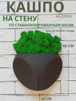 Настенное кашпо со мхом черное