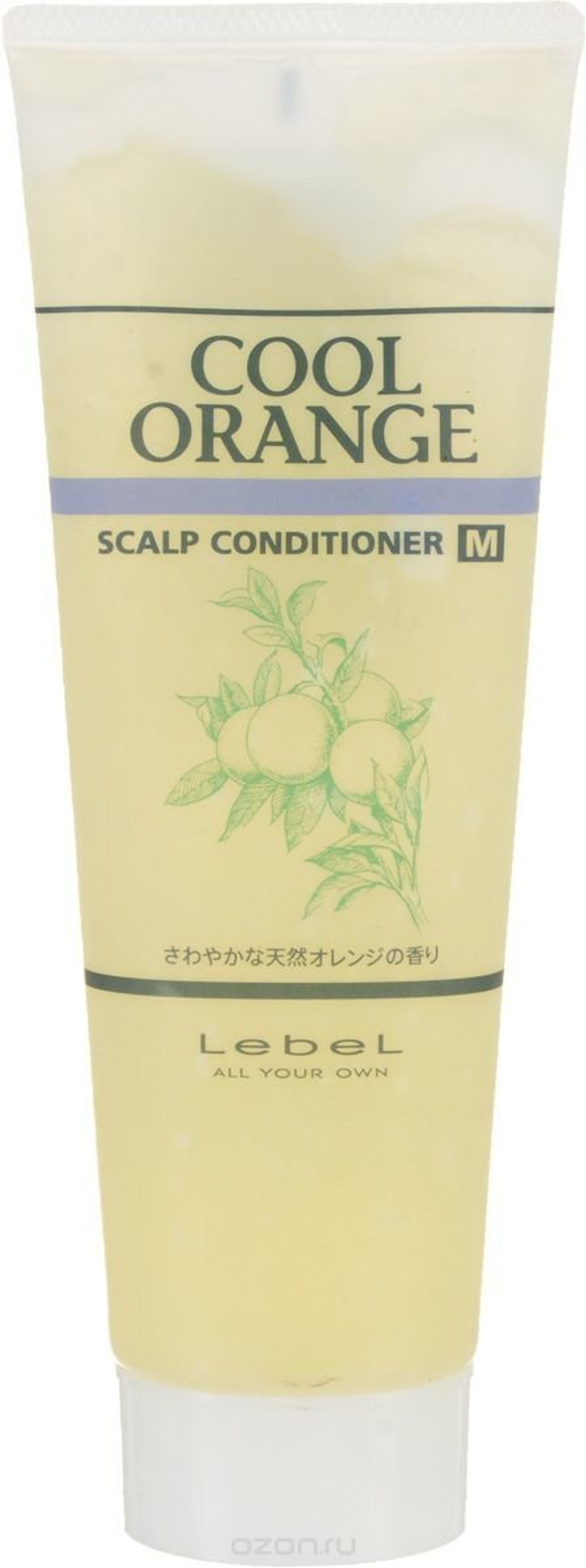 Кондиционер очиститель COOL ORANGE scalp conditioner M, 240г