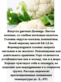 Семена Капуста цветная Дачница 5гр