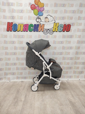 Коляска прогулочная Infinity Maxi S2700 серый