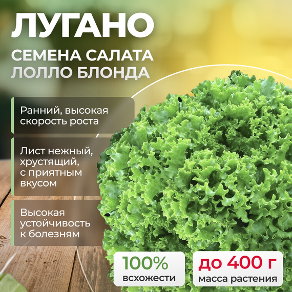 ЛУГАНО семена салата лолло бионда (Rijk Zwaan)