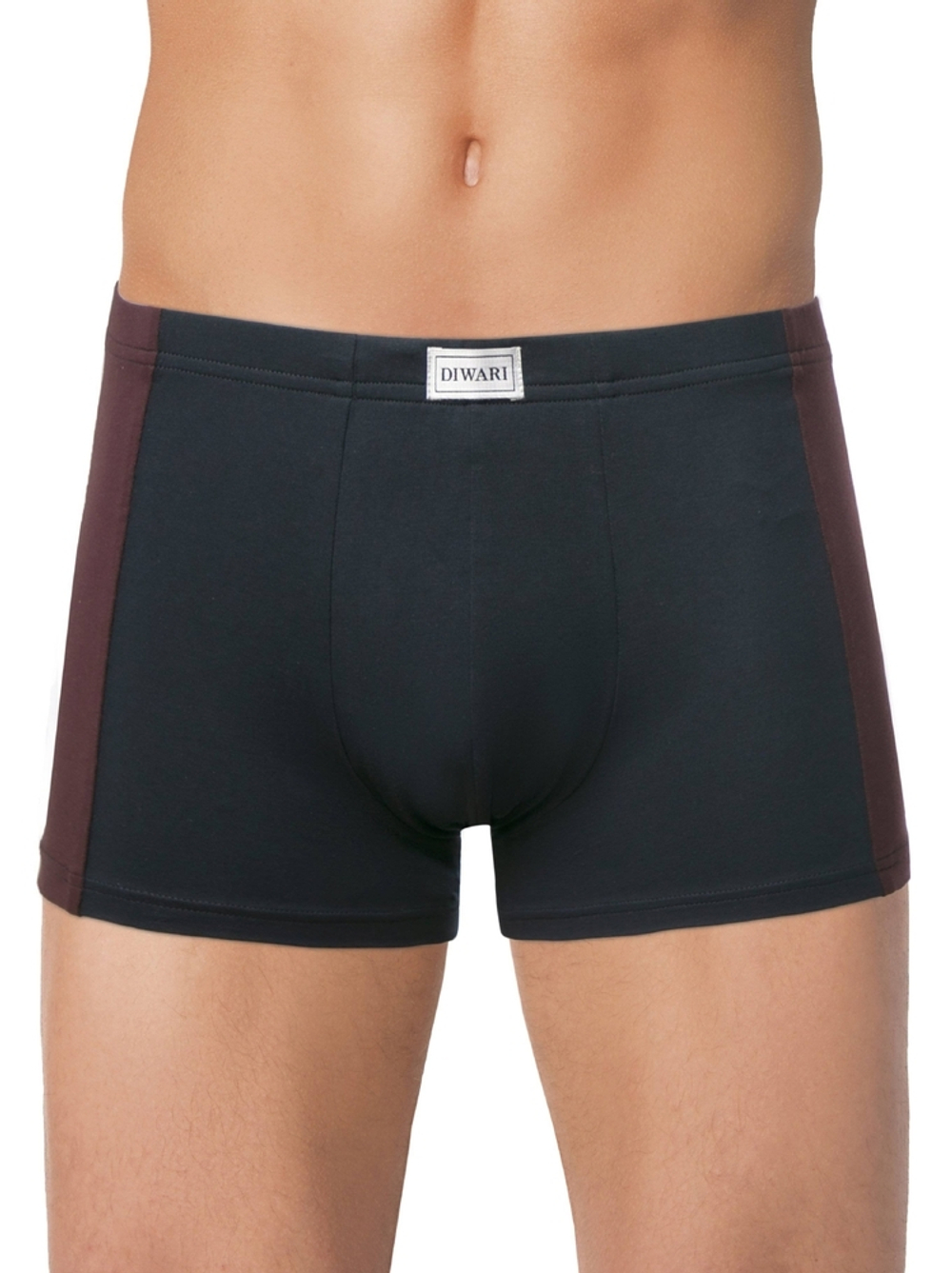 DIWARI BASIC MEN MSH 3119 Трусы мужские (хедер)