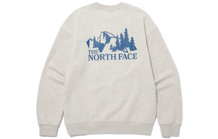 Толстовки THE NORTH FACE Logo, NM5MN53C