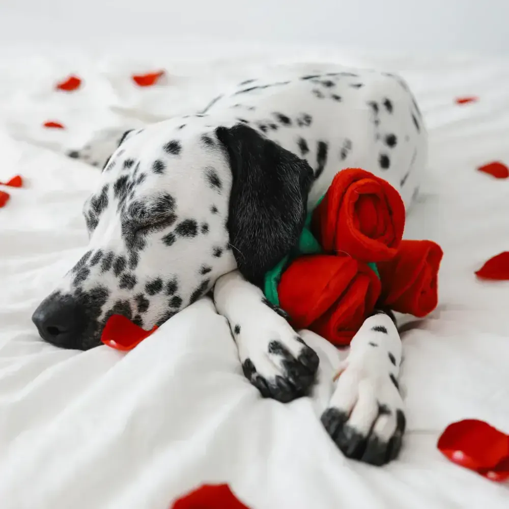 Игрушка Букет роз ZippyPaws